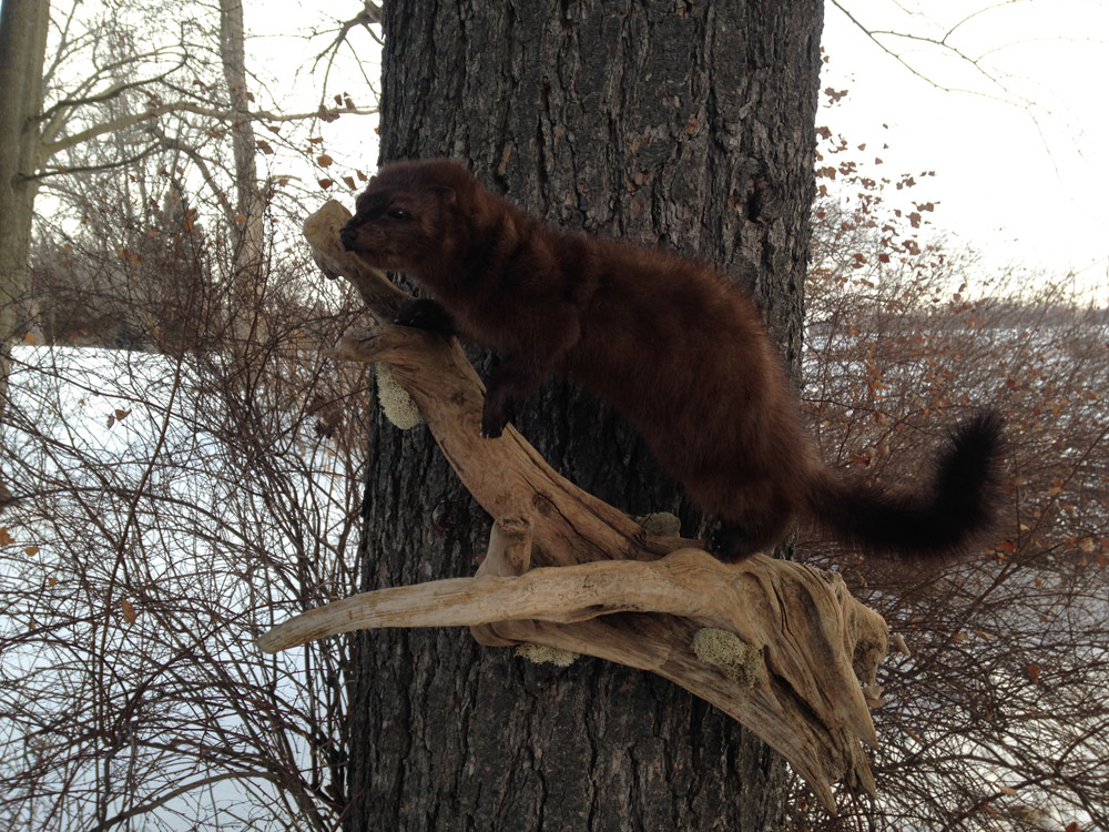 2015-02-22-08.03.jpg 2015-02-22-08.03.jpg