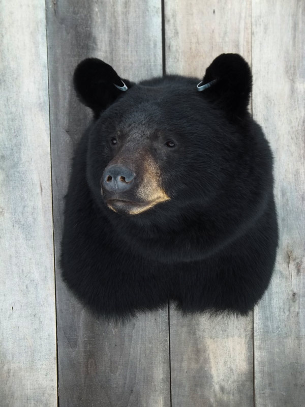 100_1395.jpg 100_1395.jpg