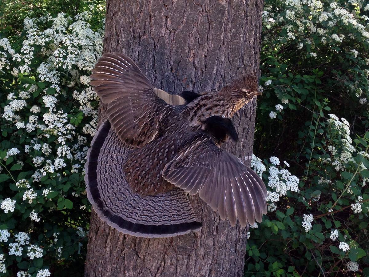 10298342_866229430072102_6584053923393983473_o.jpg 10298342_866229430072102_6584053923393983473_o.jpg