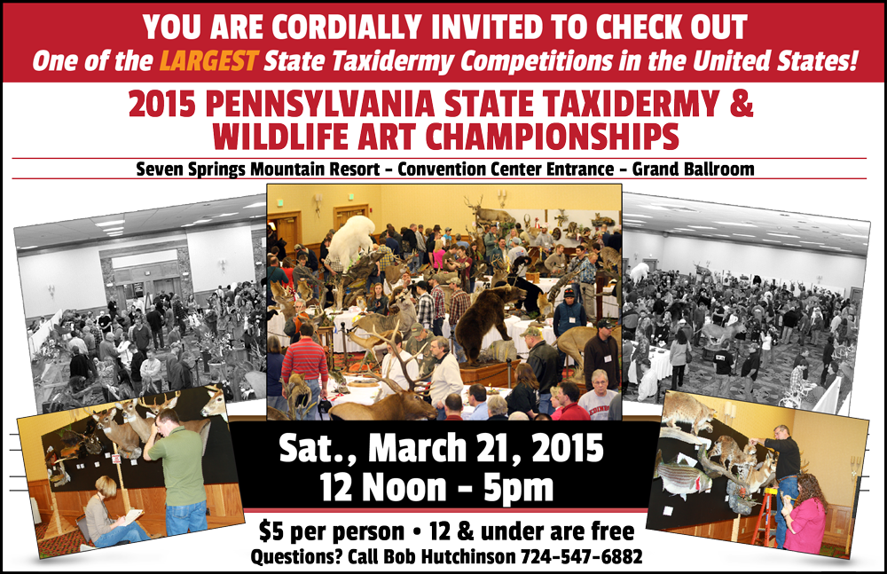 PA_Taxidemy_AdColor2015-01.png PA_Taxidemy_AdColor2015-01.png