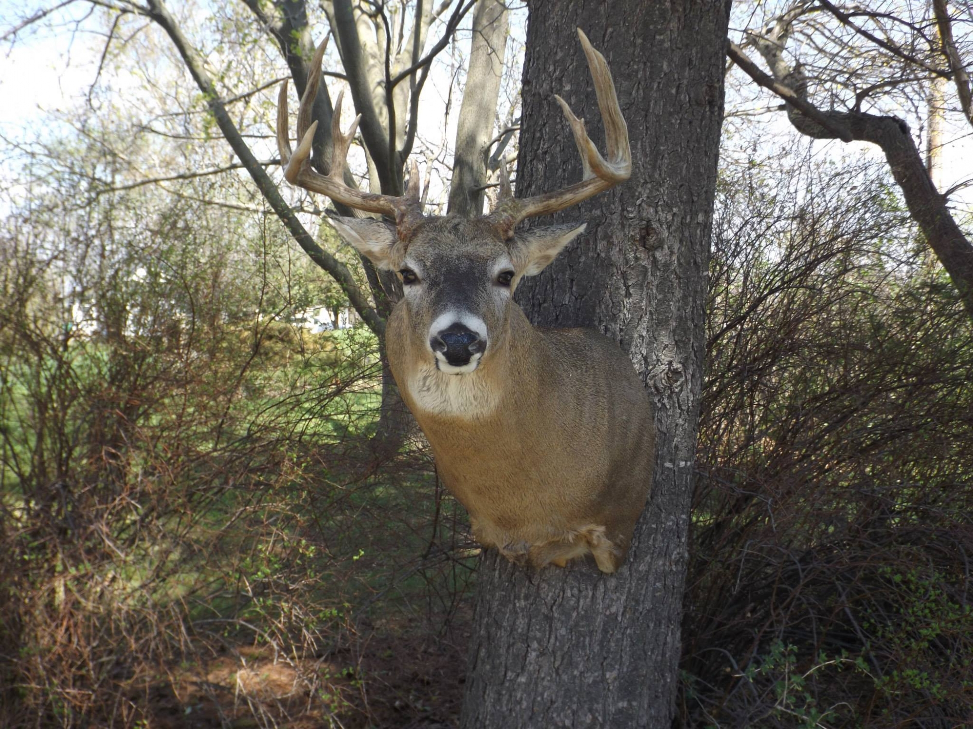 10269190_846191262075919_2811859363762949479_o.jpg 10269190_846191262075919_2811859363762949479_o.jpg