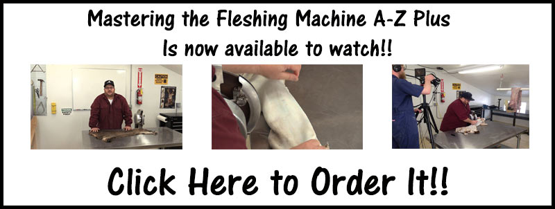 banner.jpg banner.jpg