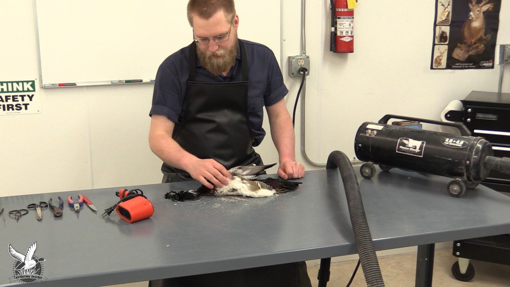 unnamed-17-1-1024x576.jpg unnamed-17-1-1024x576.jpg