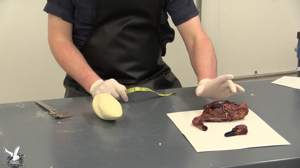 unnamed-18-1024x576.jpg unnamed-18-1024x576.jpg