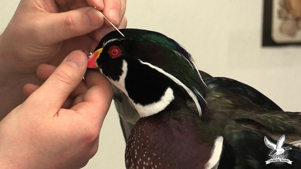 unnamed-23-1024x576.jpg unnamed-23-1024x576.jpg