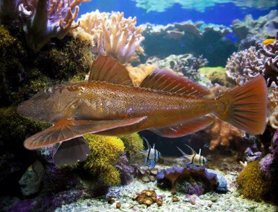 14017_624819634213084_1120302517_n.jpg 14017_624819634213084_1120302517_n.jpg