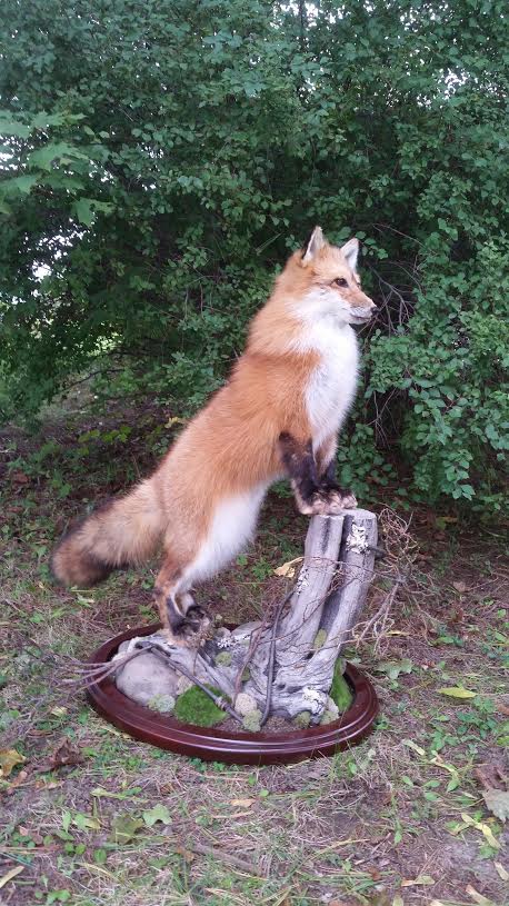 9d45d7e0-71f1-4c7d-b400-34bd153399d1.jpg 9d45d7e0-71f1-4c7d-b400-34bd153399d1.jpg