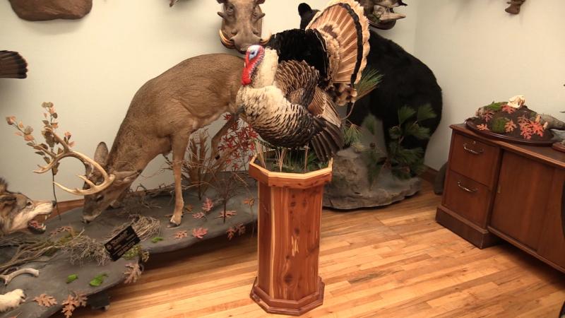 nwtf-museum-turkey.jpg nwtf-museum-turkey.jpg