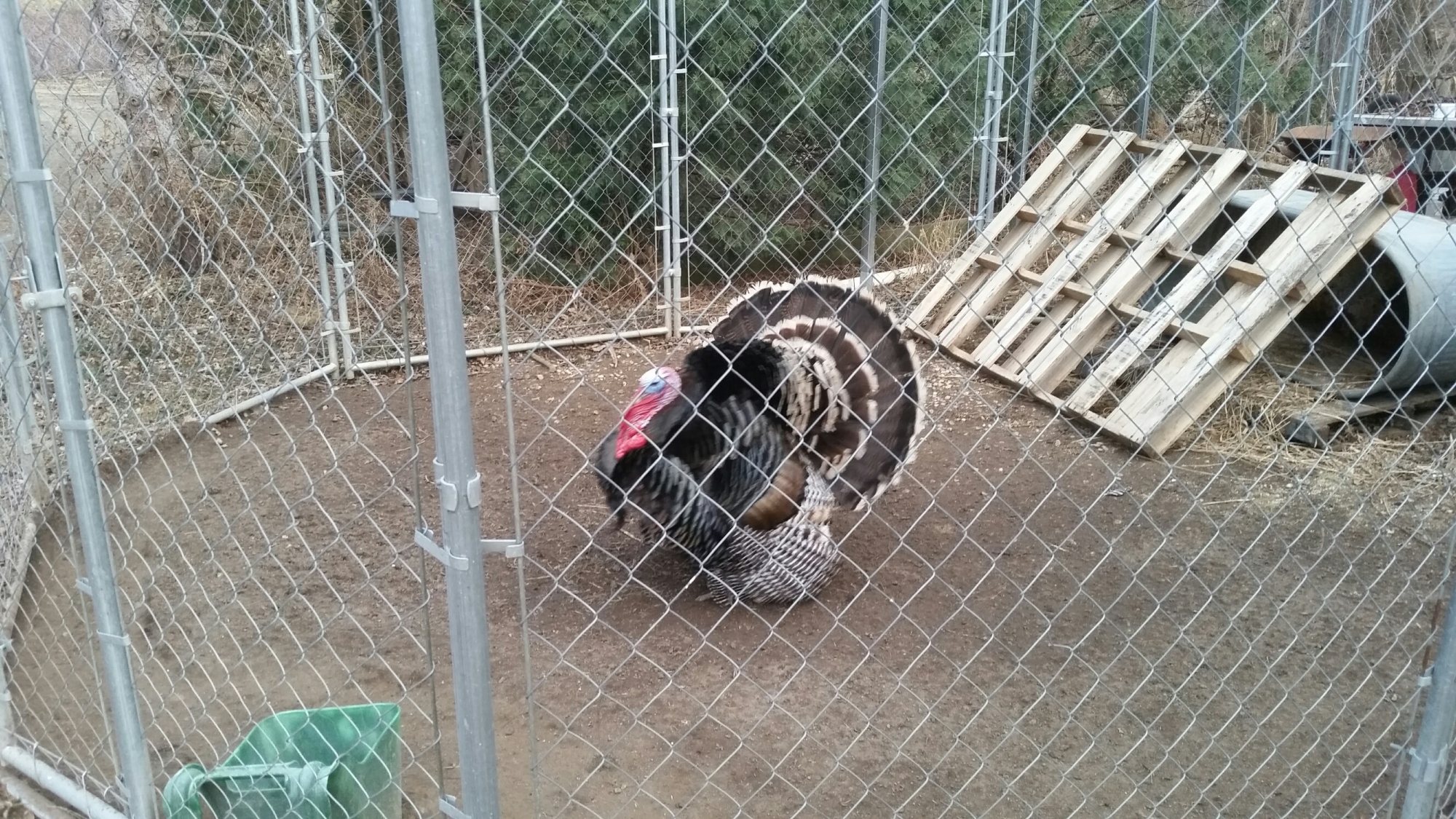 20150318_184420_resized.jpg 20150318_184420_resized.jpg