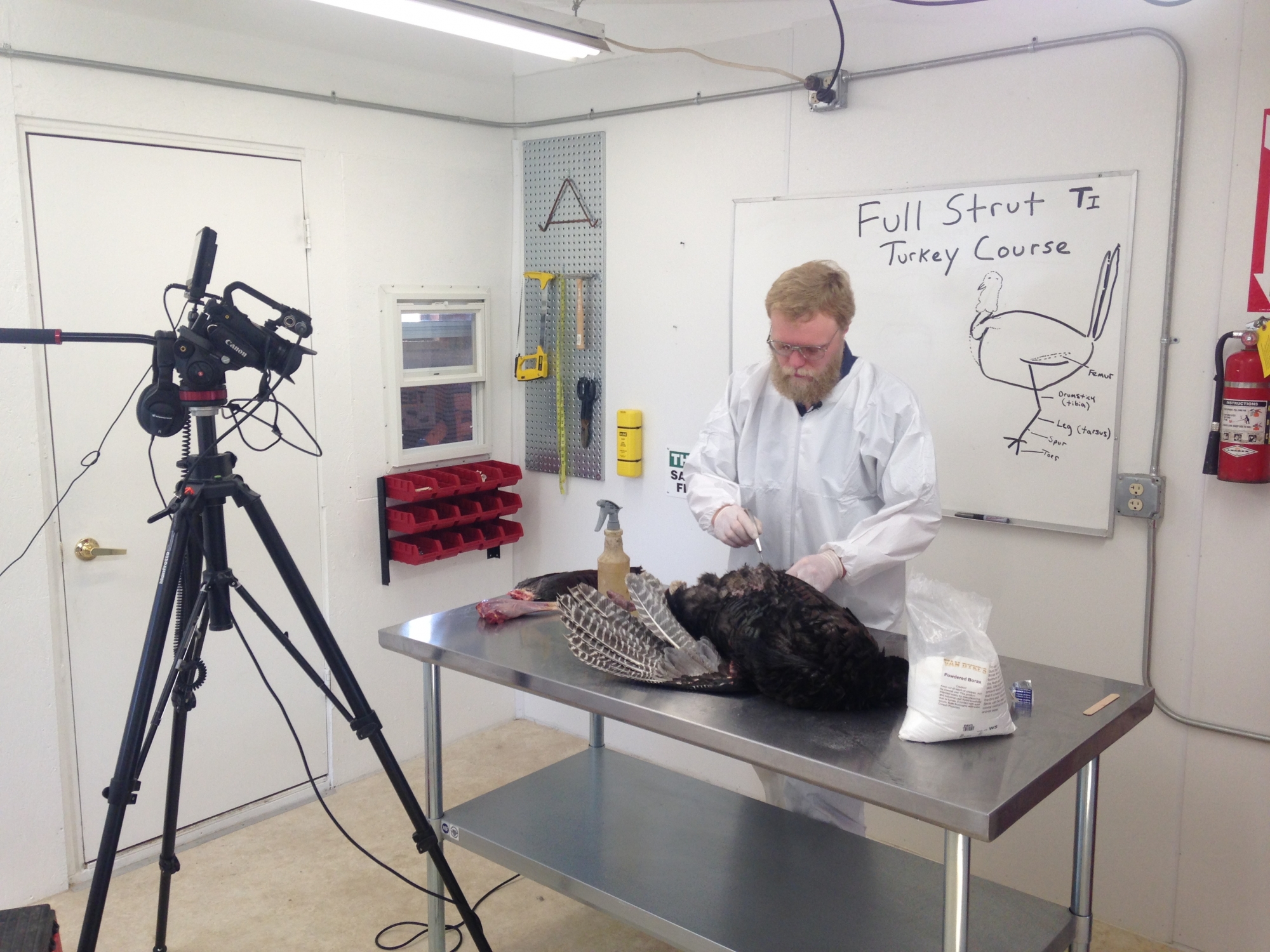 2015-05-28-08.18.11.jpg 2015-05-28-08.18.11.jpg