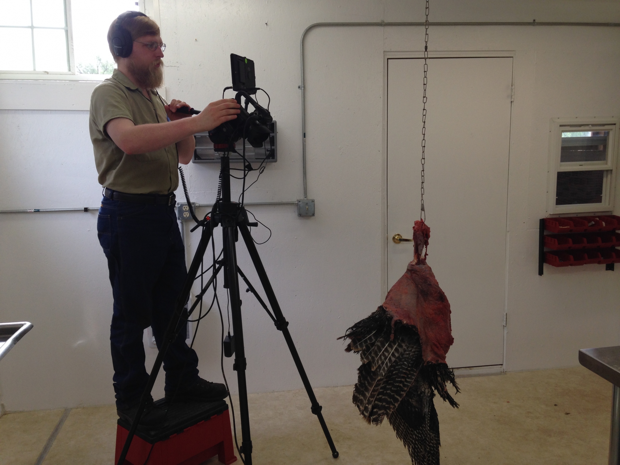 2015-05-29-08.52.10.jpg 2015-05-29-08.52.10.jpg