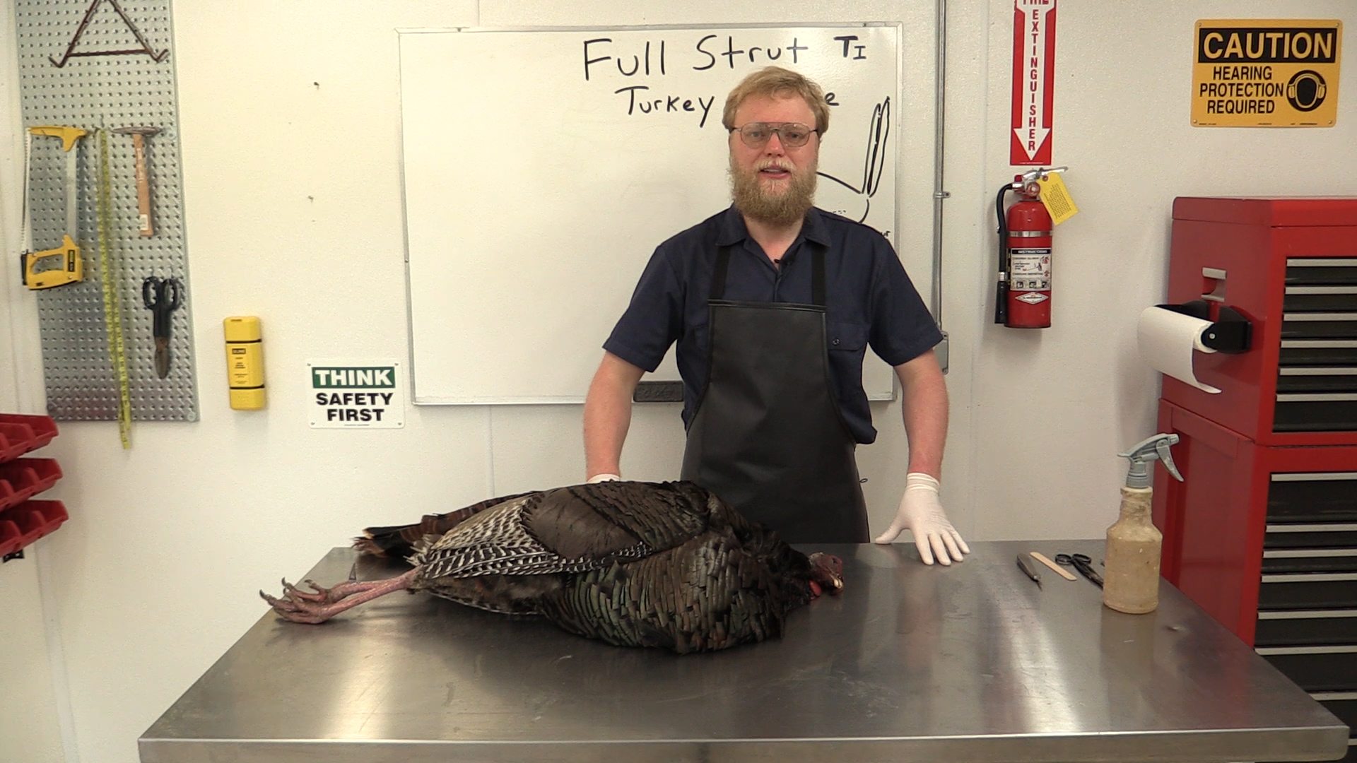 Anatomy.jpg Anatomy.jpg