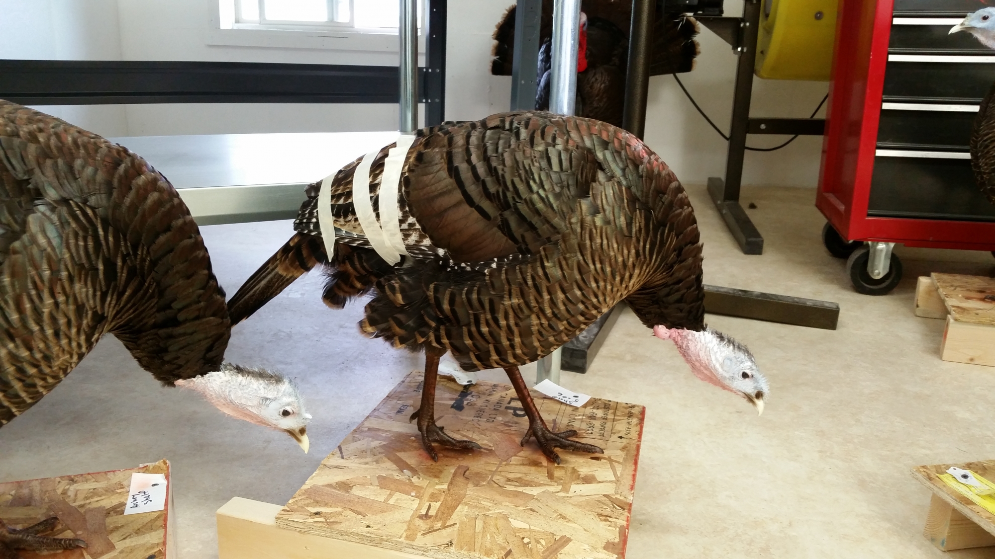 20150520_080443.jpg 20150520_080443.jpg