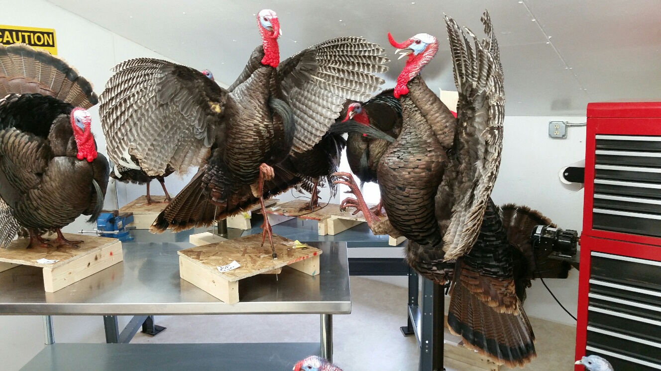 20150520_081034_resized-1.jpg 20150520_081034_resized-1.jpg