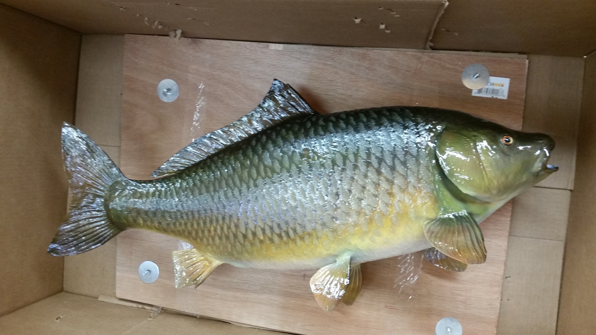 20150604_142216.jpg 20150604_142216.jpg