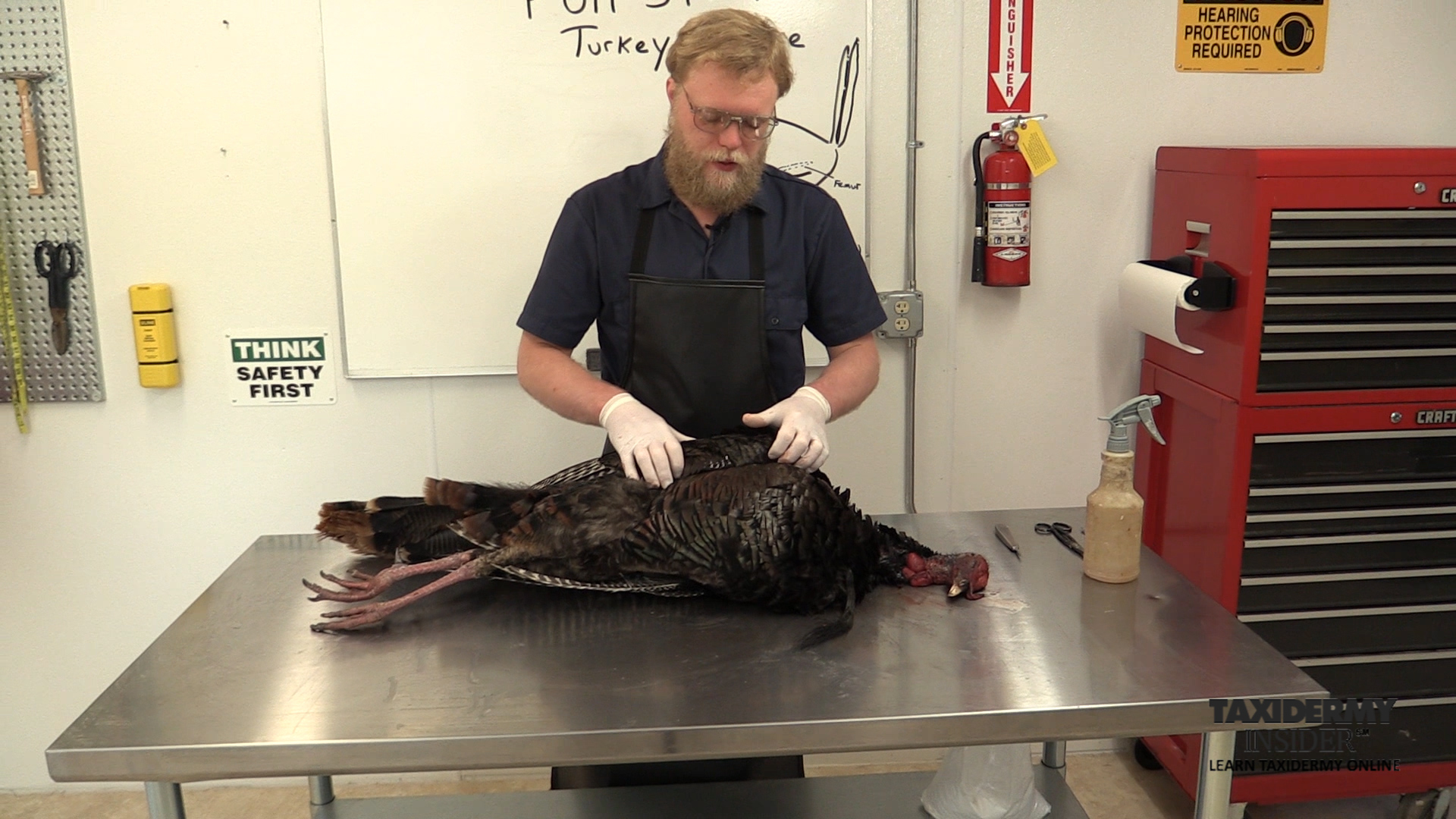 Full-Strut-Turkey-Course-2-Bird-Evaluation.jpg Full-Strut-Turkey-Course-2-Bird-Evaluation.jpg