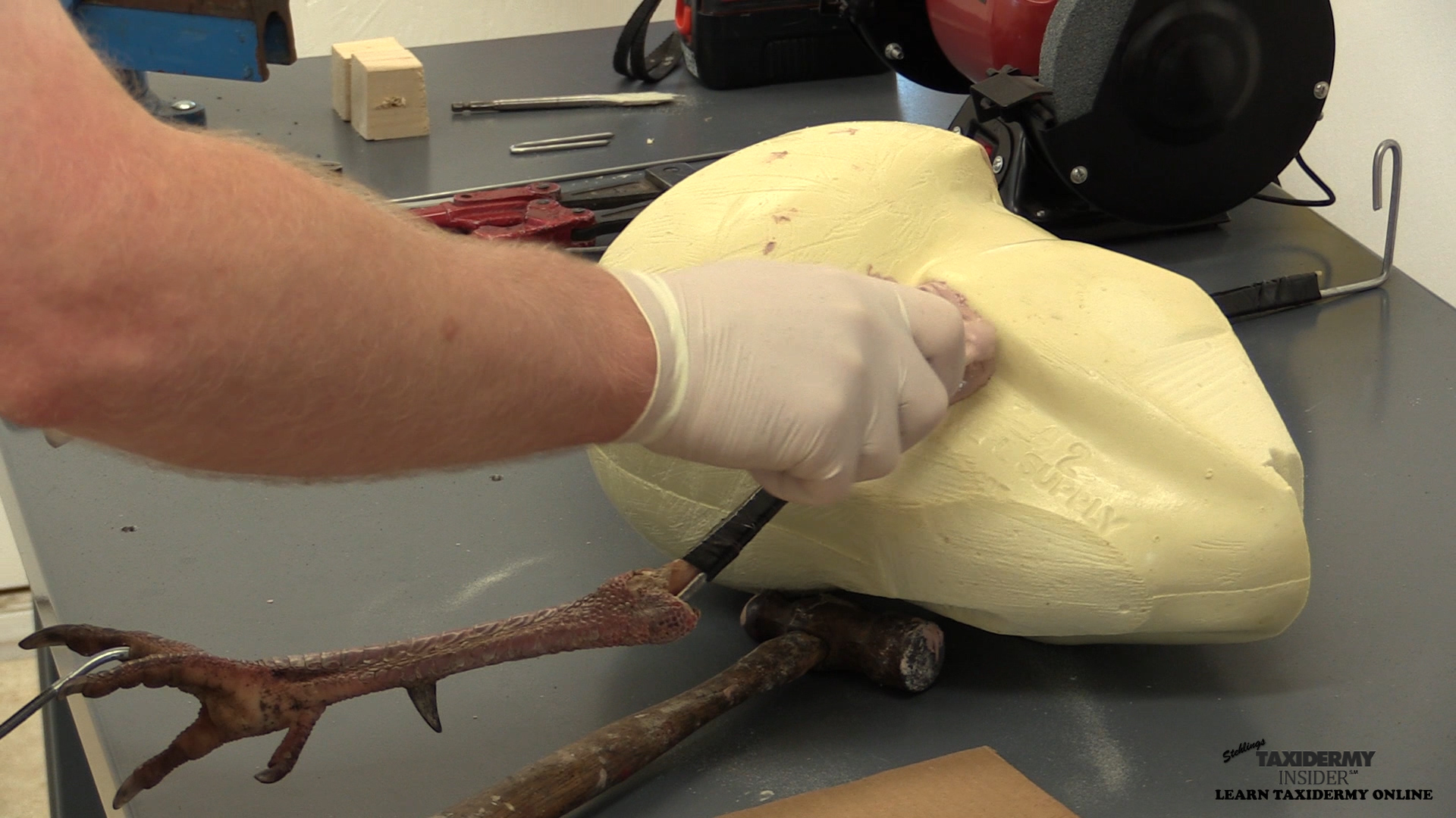 full-strut-turkey-course-10-form-and-leg-ass..jpg full-strut-turkey-course-10-form-and-leg-ass..jpg