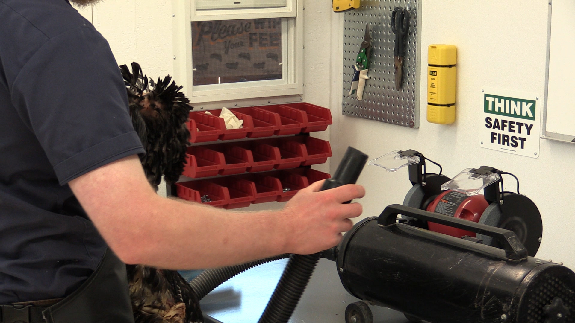 full-strut-turkey-drying.jpg full-strut-turkey-drying.jpg