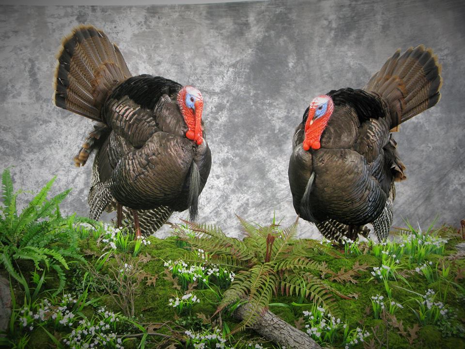 ind.-display-2.jpg ind.-display-2.jpg