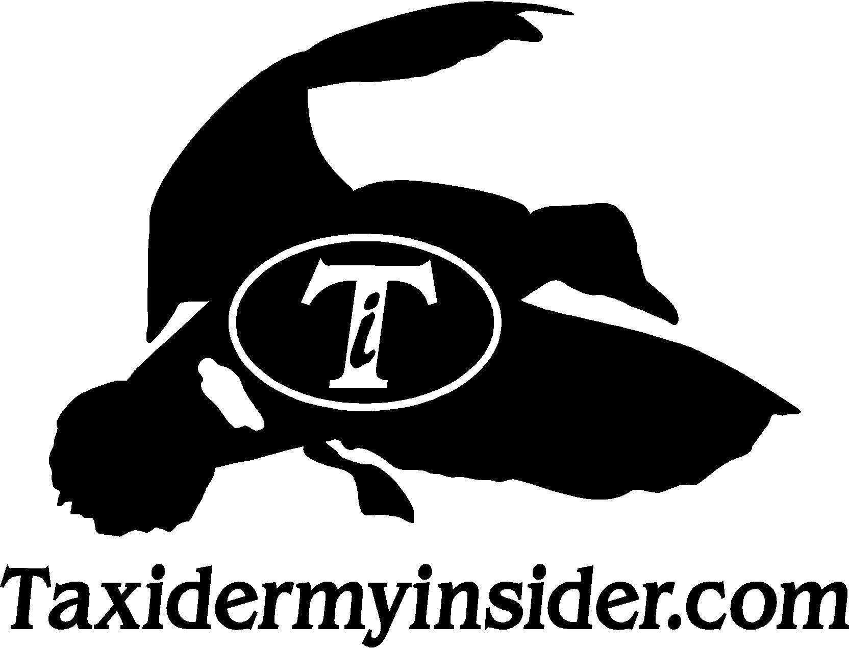 insider-duck-logo.jpg insider-duck-logo.jpg