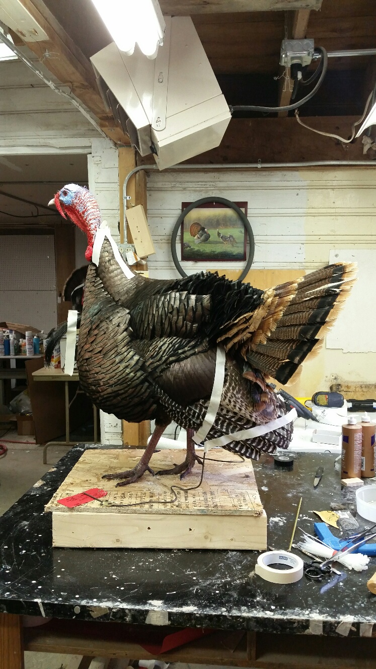 20150629_200147_resized.jpg 20150629_200147_resized.jpg