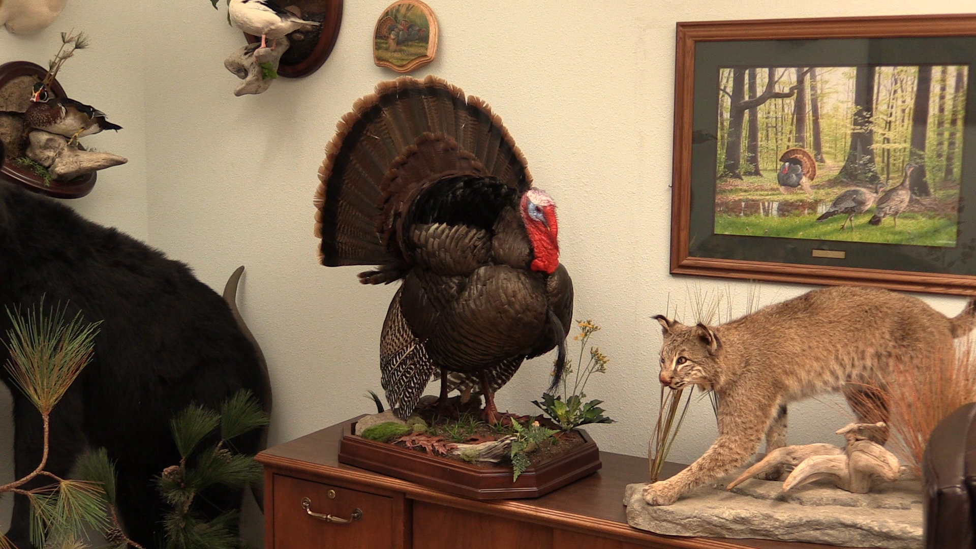 use-this-for-top-pic.jpg use-this-for-top-pic.jpg