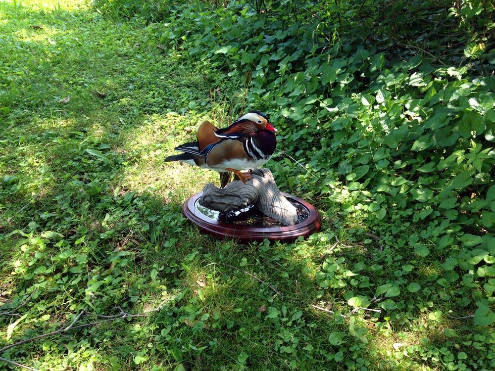 10479175_1111986708829705_2567674612591050401_o.jpg 10479175_1111986708829705_2567674612591050401_o.jpg