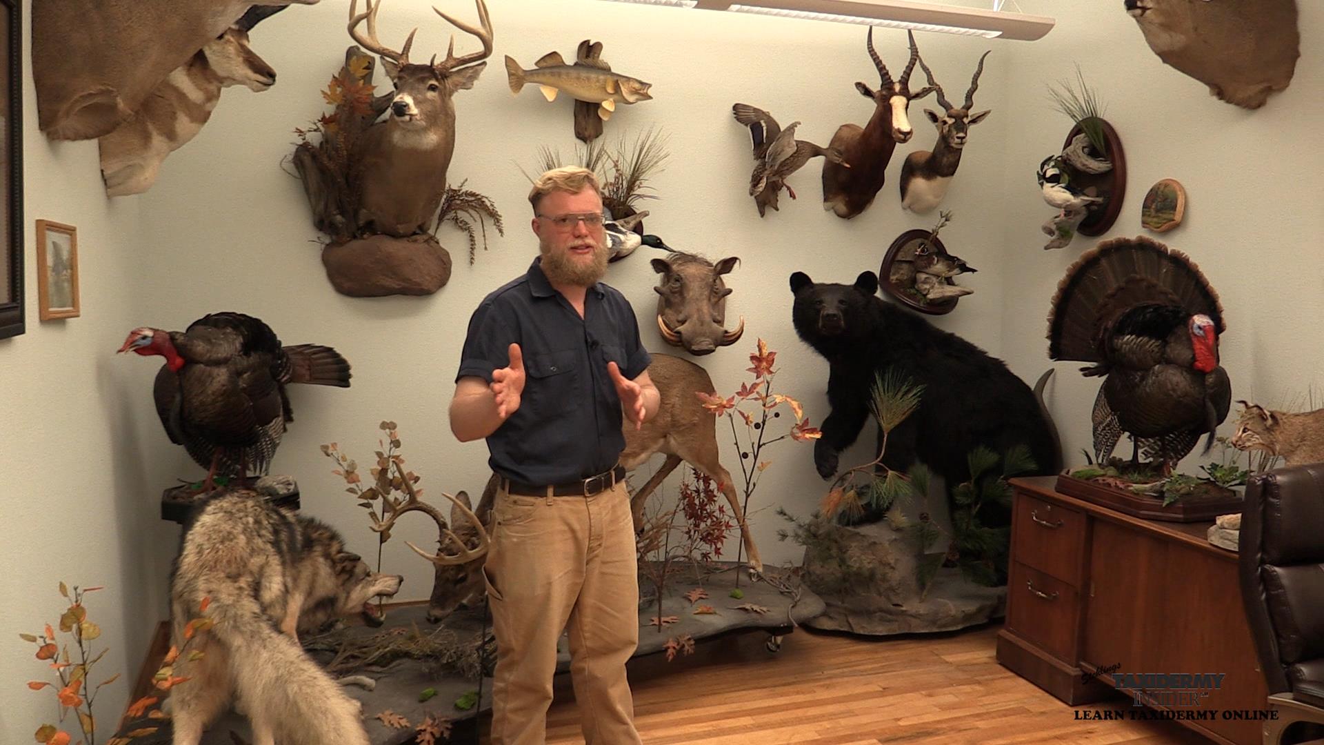 11807140_875459895871201_6945781144593174100_o.jpg 11807140_875459895871201_6945781144593174100_o.jpg