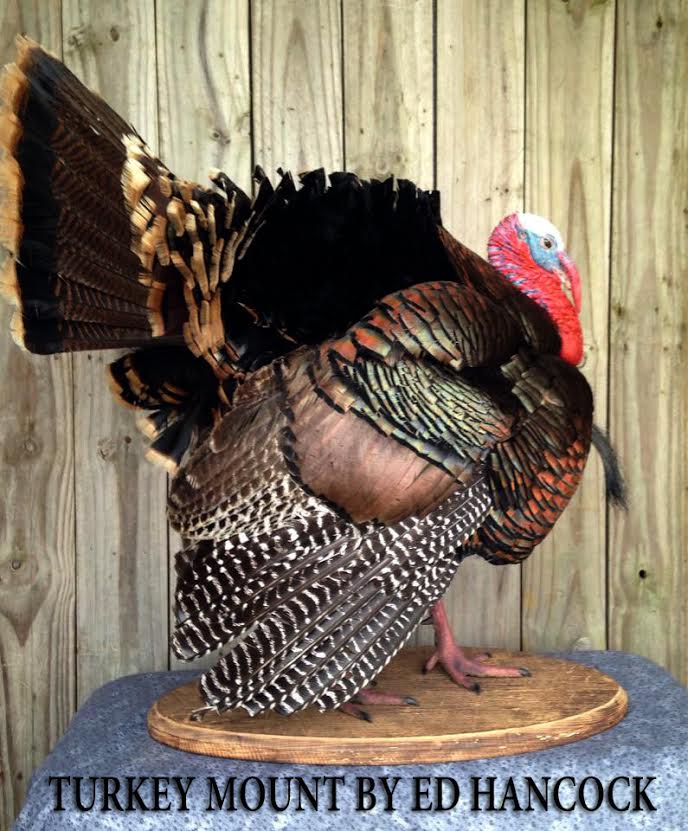 hancock-turkey-3.jpg hancock-turkey-3.jpg