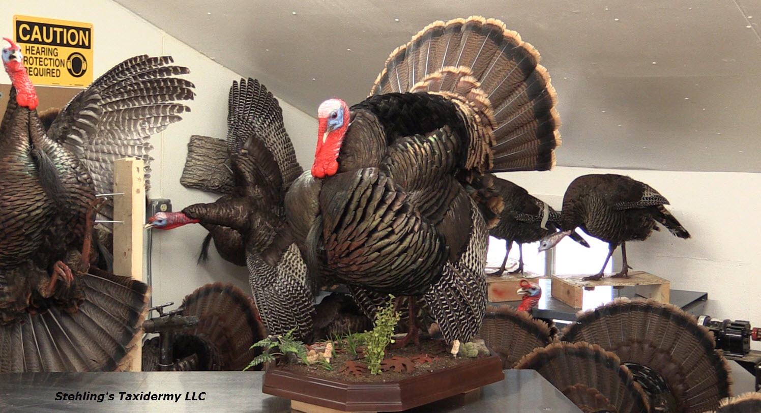 facebook-2.jpg facebook-2.jpg