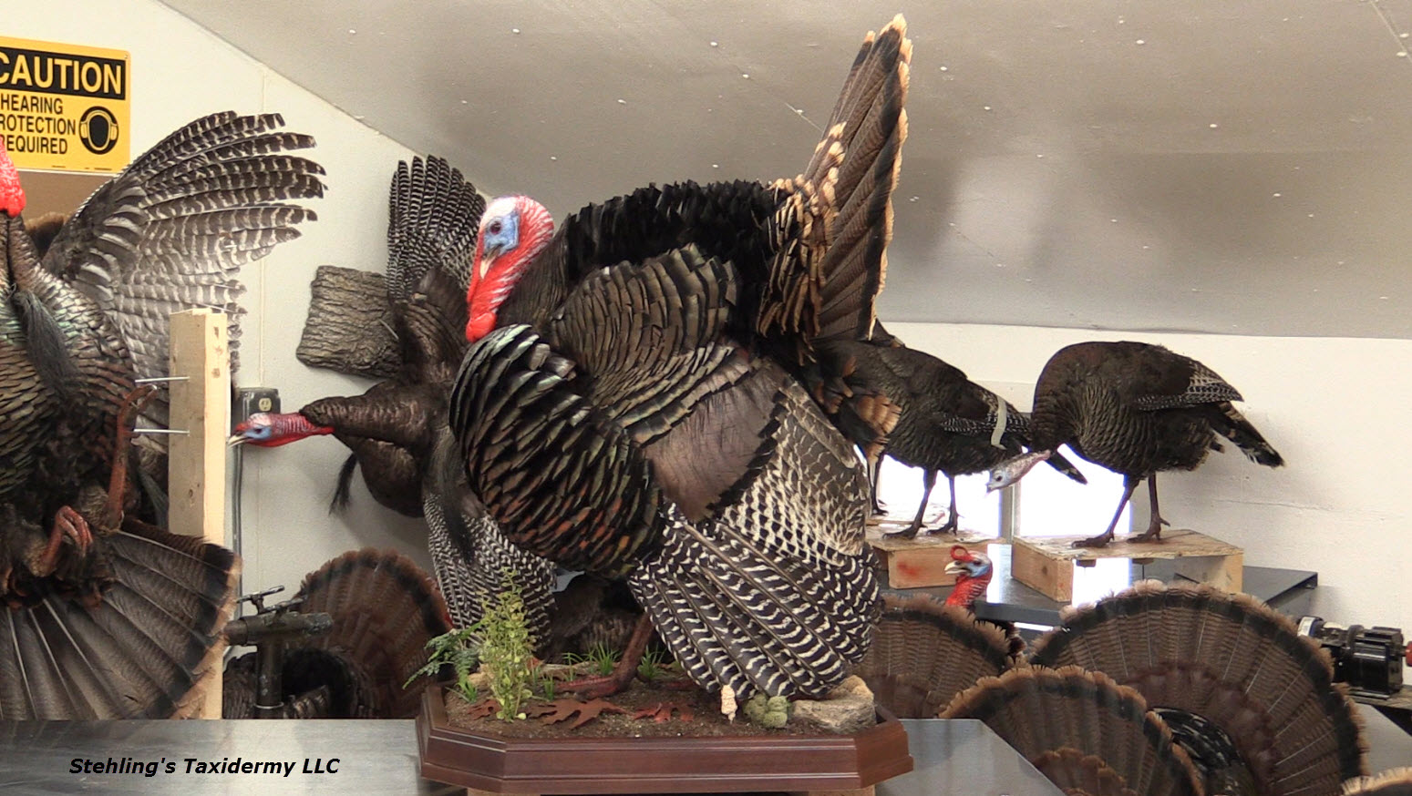 for-facebook-1.jpg for-facebook-1.jpg