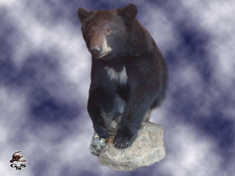 317061_583126711715710_997965098_n.jpg 317061_583126711715710_997965098_n.jpg