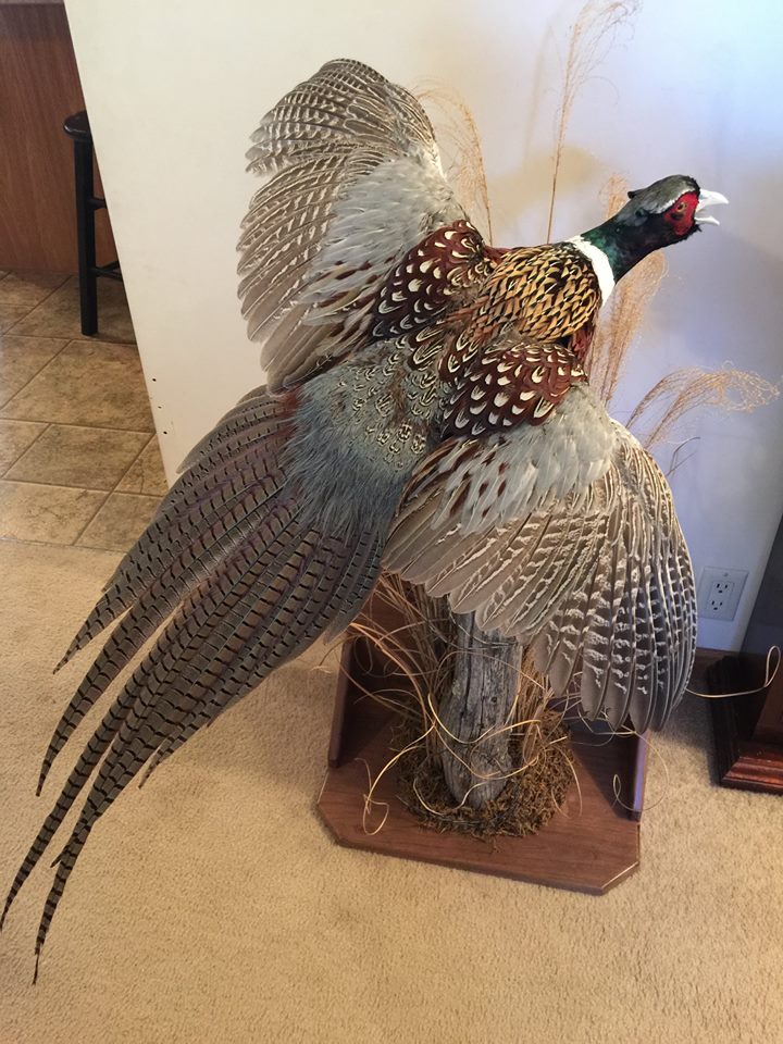 bowman.jpg bowman.jpg