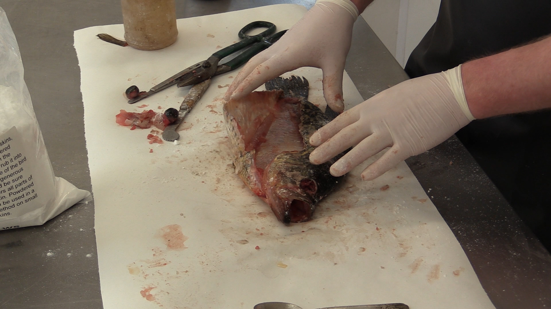 crappie-picture-3.jpg crappie-picture-3.jpg