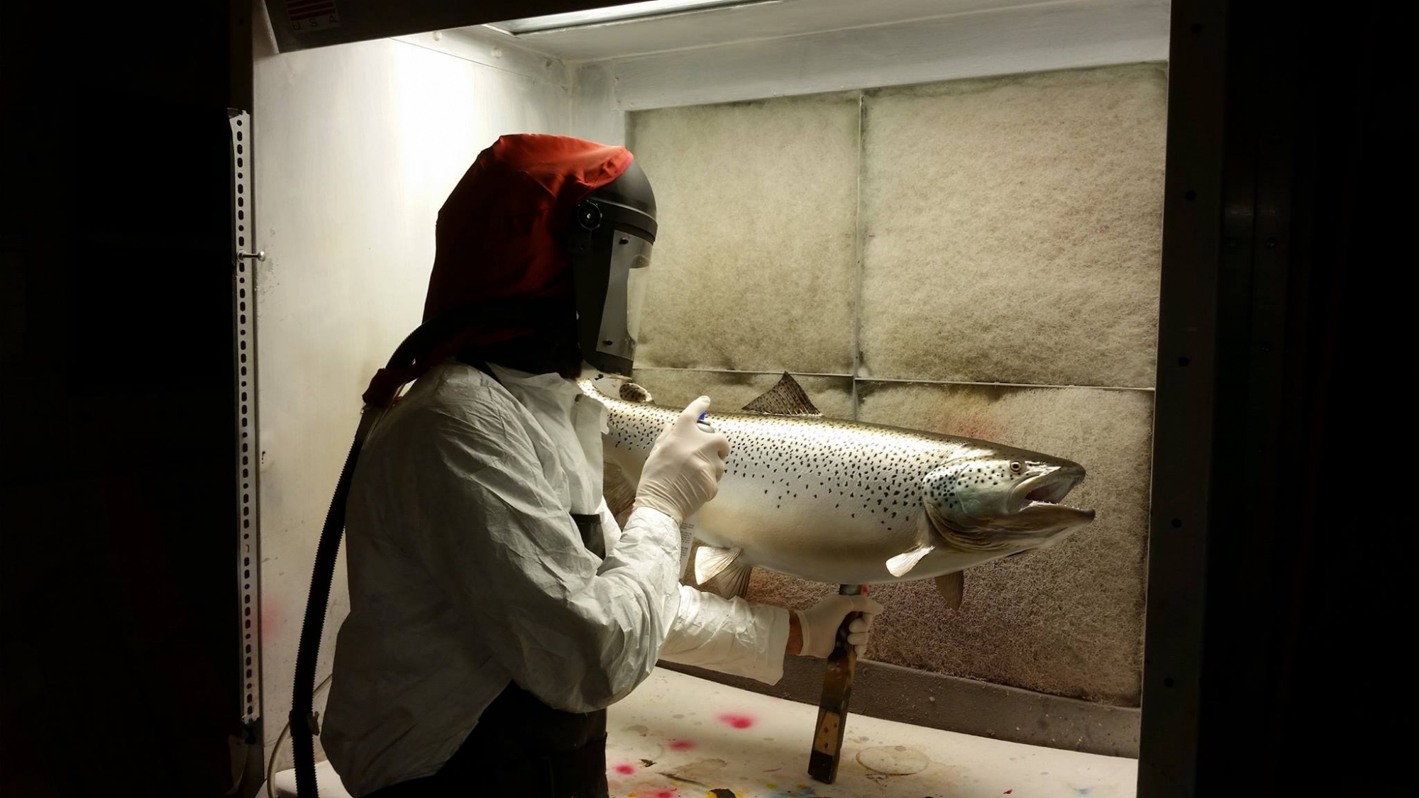 gl-brown.jpg gl-brown.jpg