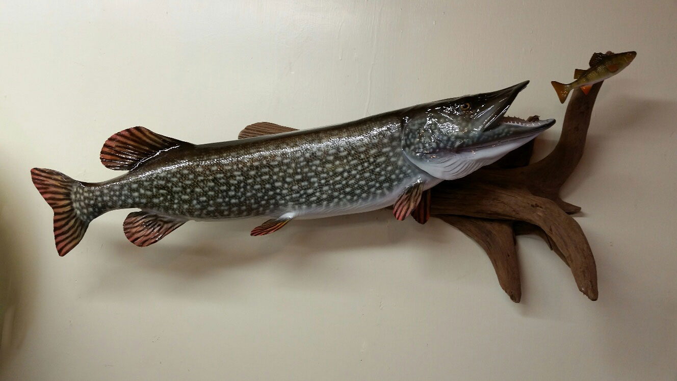 veehaus-np.jpg veehaus-np.jpg