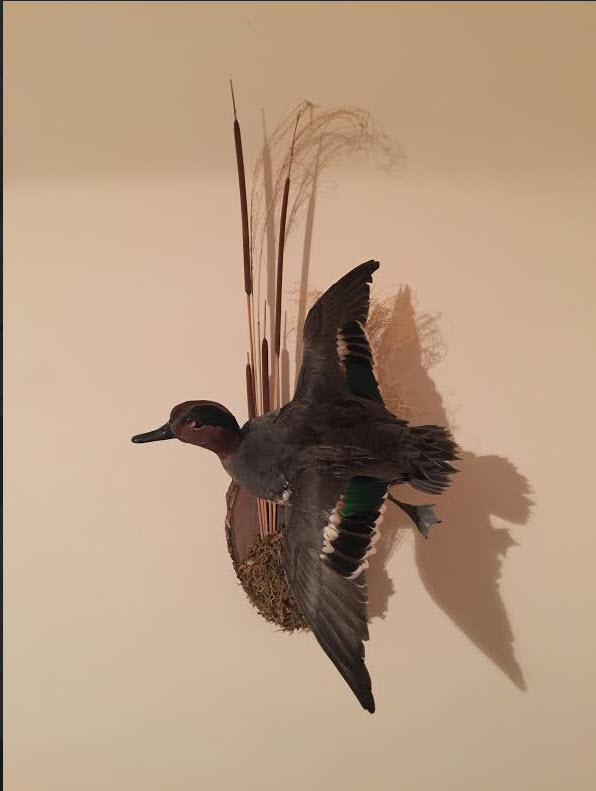 bowMAN.jpg bowMAN.jpg