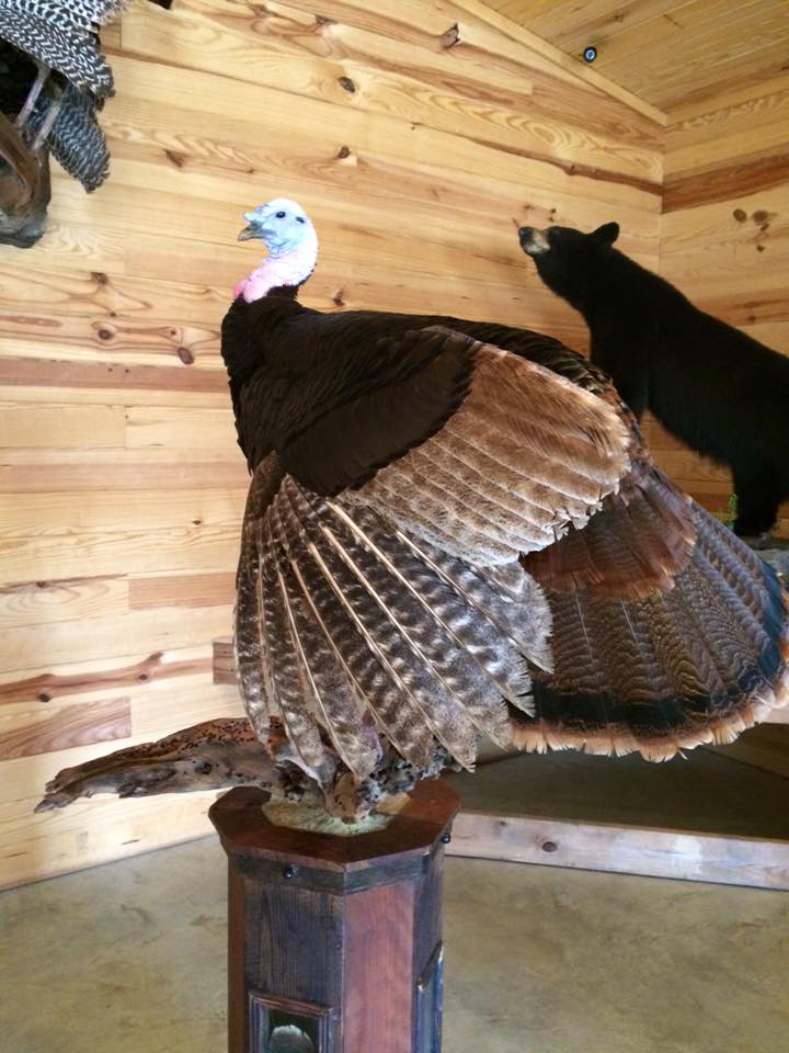 gerald-1.jpg gerald-1.jpg