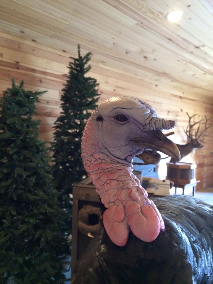 gerald-2.jpg gerald-2.jpg