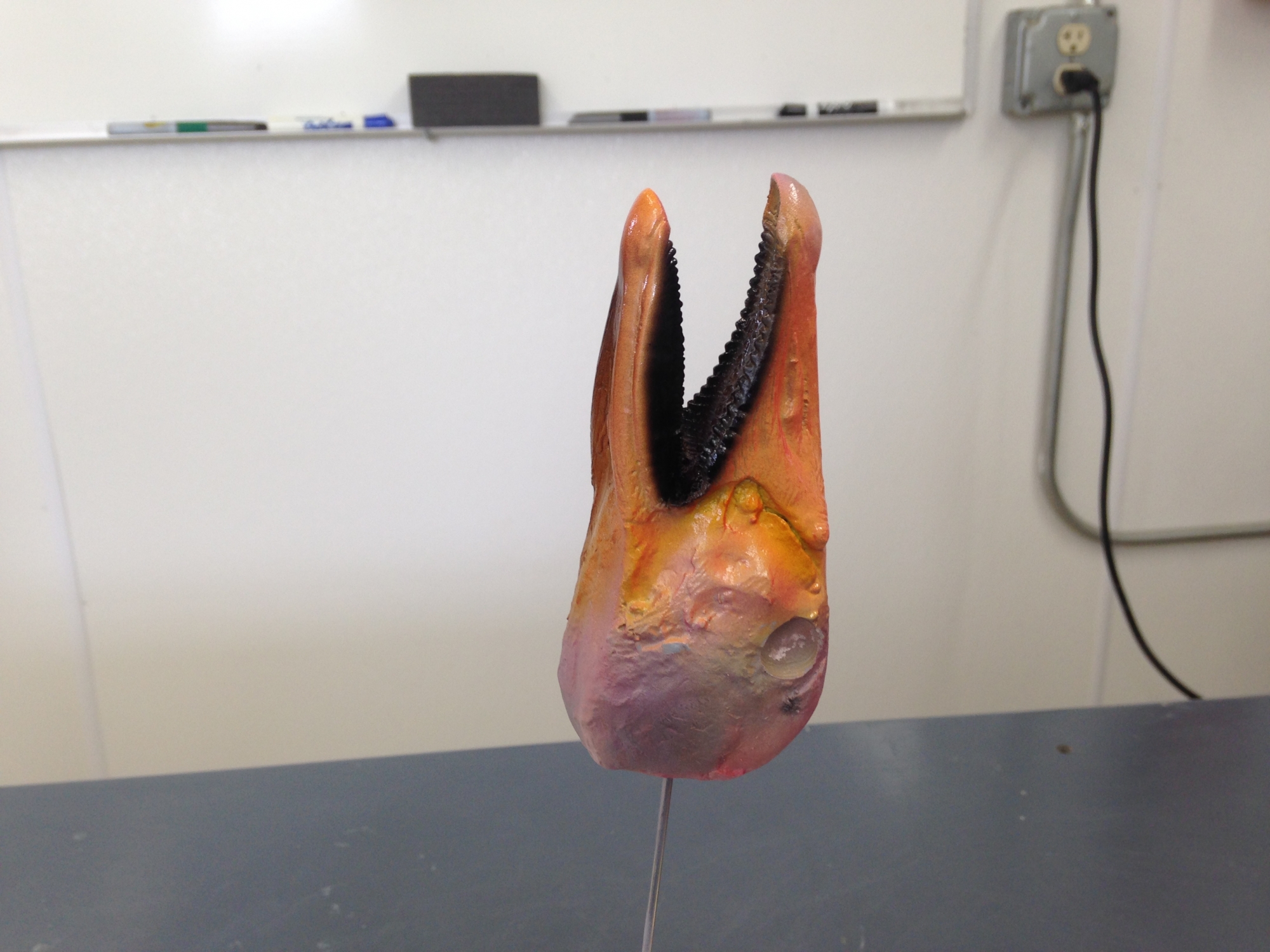 2016-04-04-10.44.32.jpg 2016-04-04-10.44.32.jpg