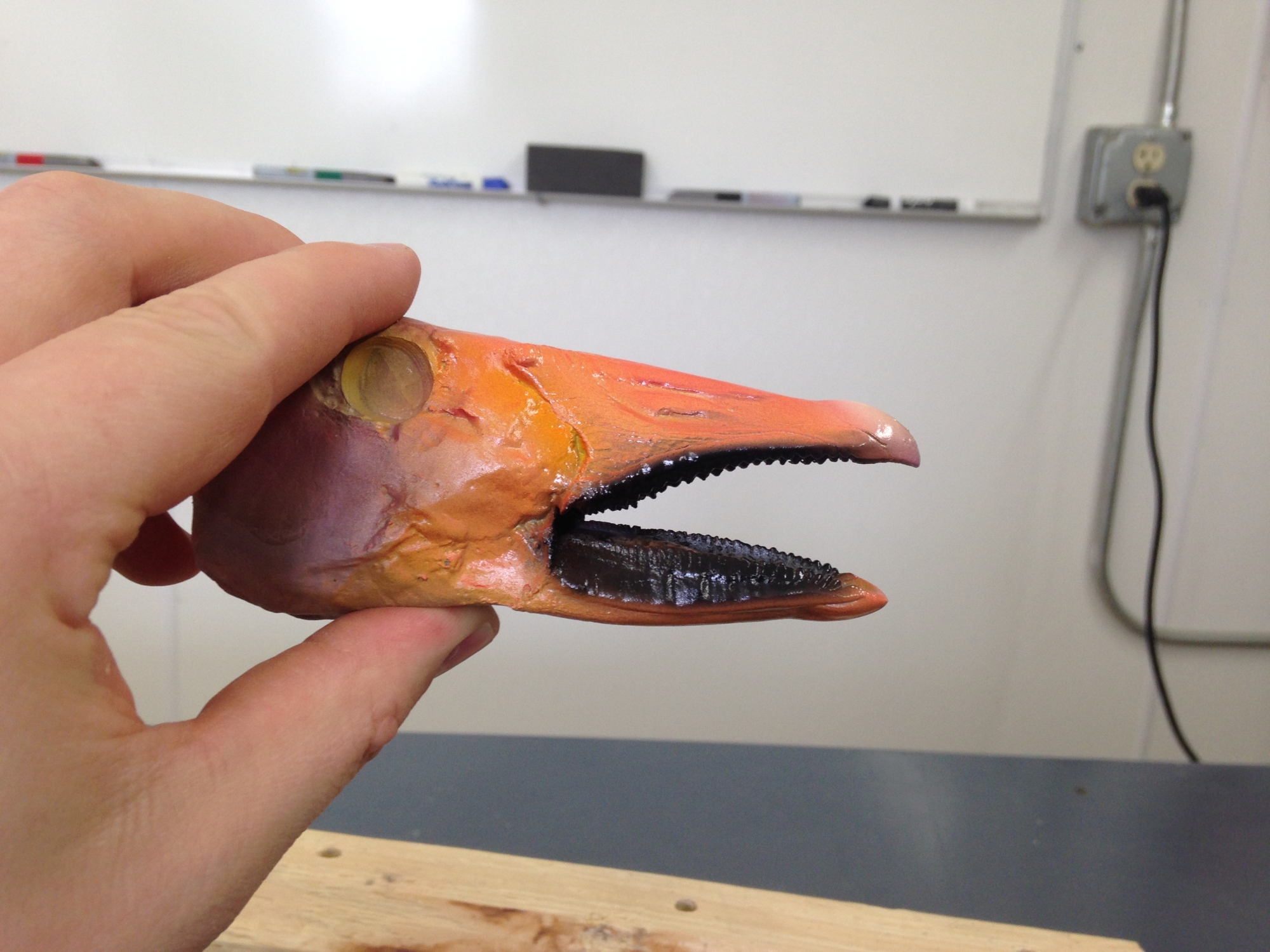 2016-04-04-10.44.46.jpg 2016-04-04-10.44.46.jpg