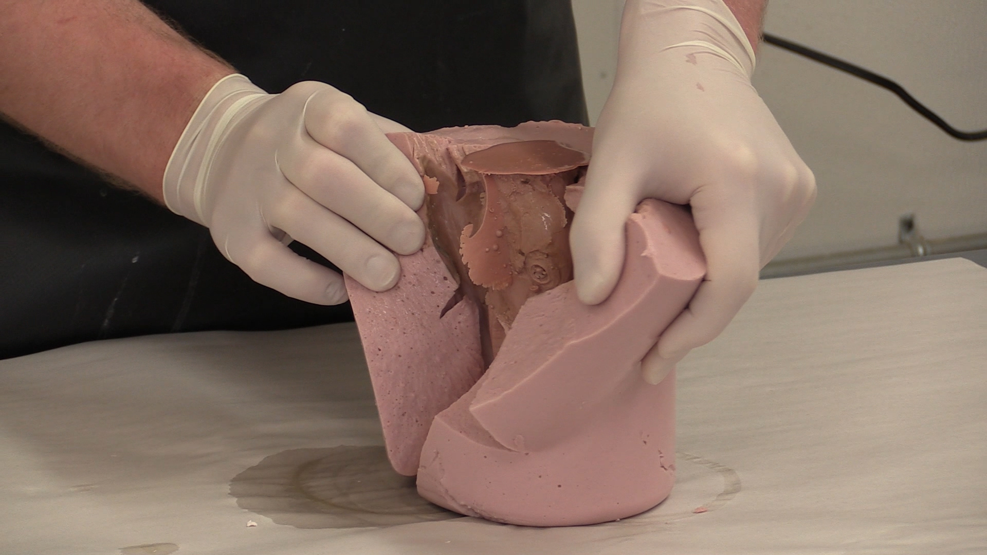 goose-head-molding-2.jpg goose-head-molding-2.jpg