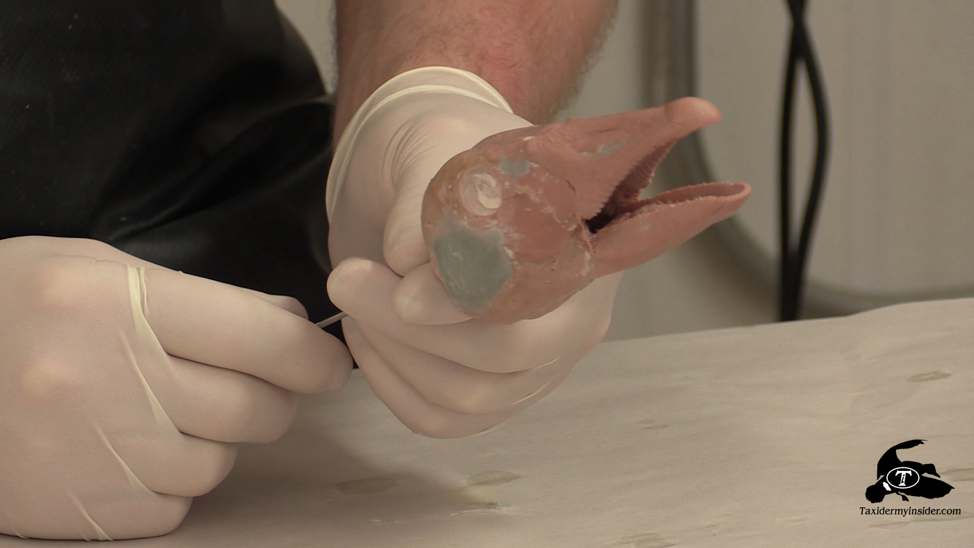 molding-goose-head-3.jpg molding-goose-head-3.jpg