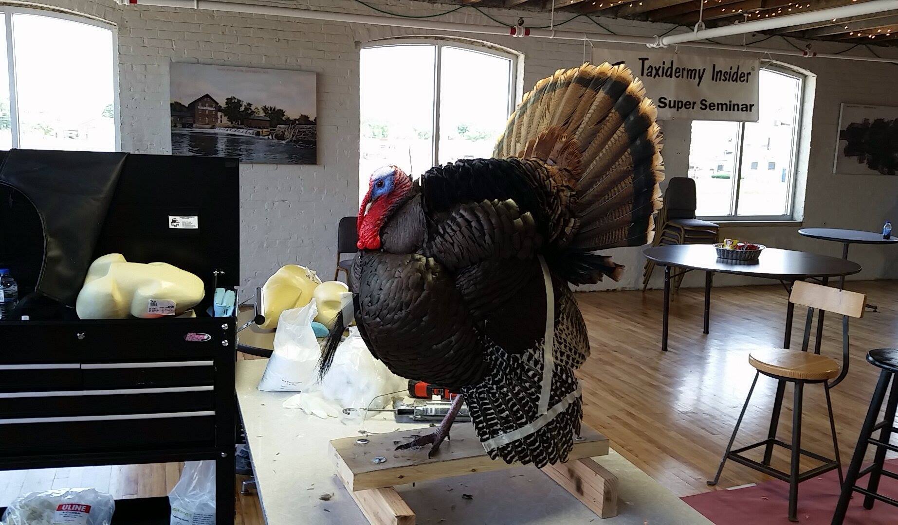 13418639_1034896239927565_5074897800916194993_o.jpg 13418639_1034896239927565_5074897800916194993_o.jpg