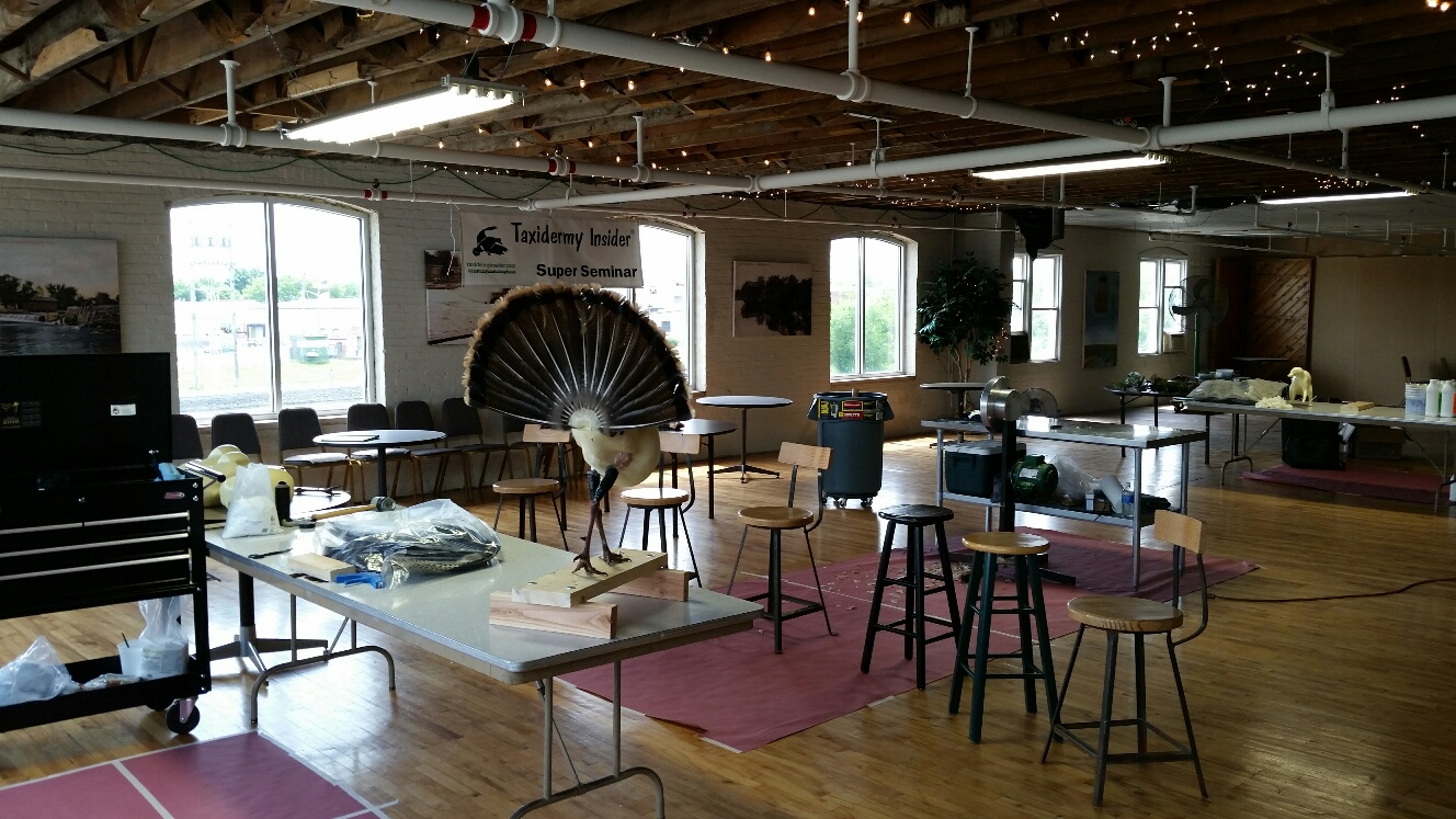 20160611_114118_resized.jpg 20160611_114118_resized.jpg