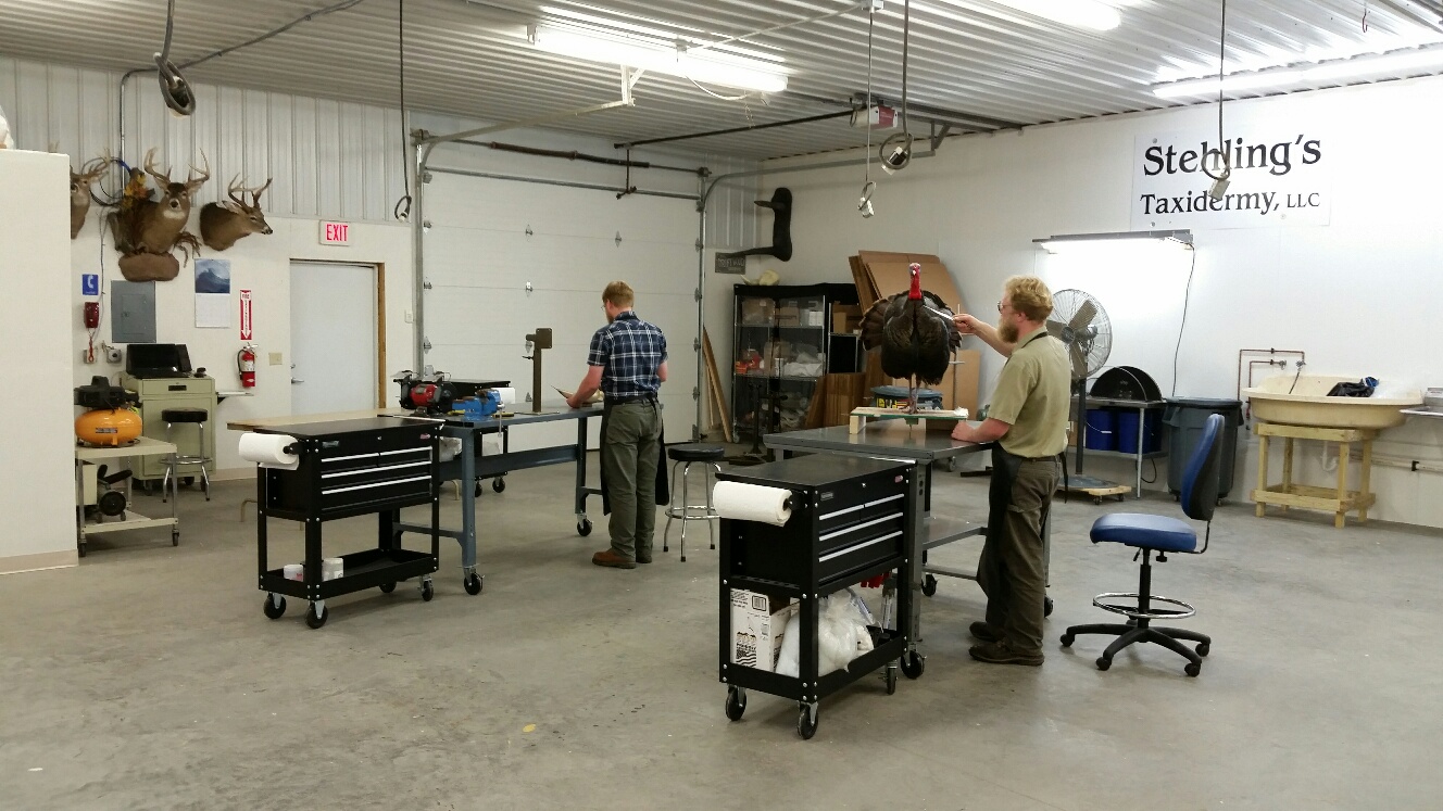 20160710_143901_resized-1.jpg 20160710_143901_resized-1.jpg