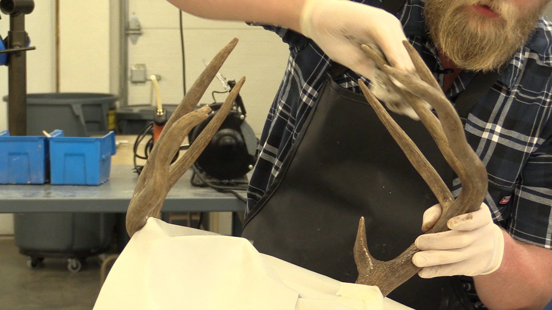 antler-repair.jpg antler-repair.jpg
