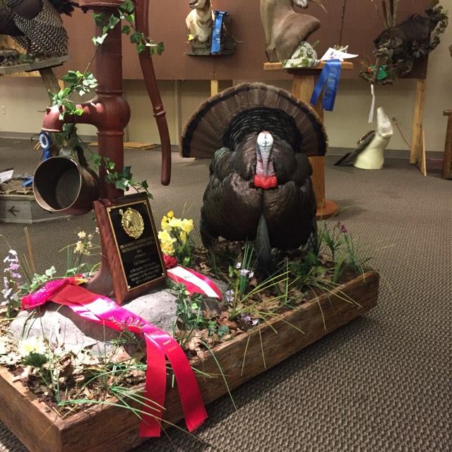 13871816_1346554625372330_537696554_n.jpg 13871816_1346554625372330_537696554_n.jpg