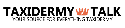 new-logo-taxidermy-talk.png new-logo-taxidermy-talk.png