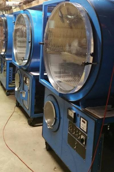 15027583_10207561786067940_5421923528305294655_n.jpg 15027583_10207561786067940_5421923528305294655_n.jpg